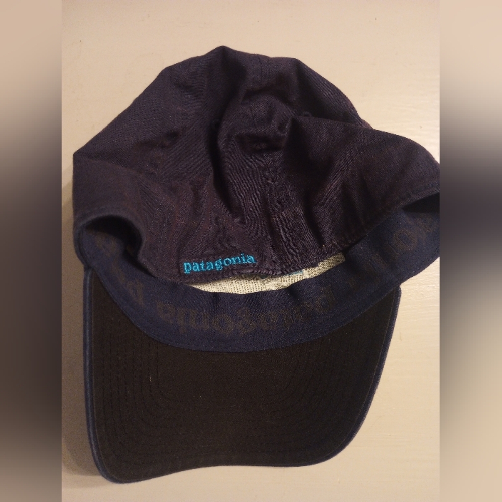Patagonia Fitz Roy Trout Men's Flex Fit Hat - Picture 6 of 10